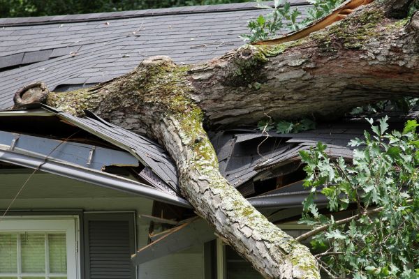 Storm Remediation in South Zanesville